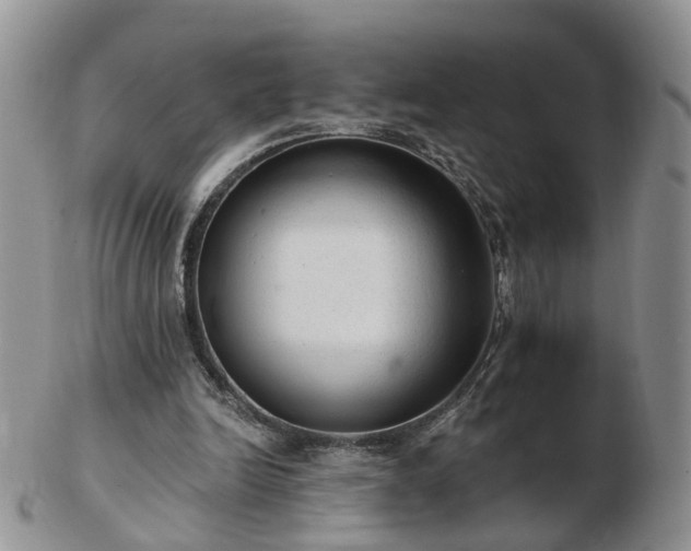 X0000102830246200808251140