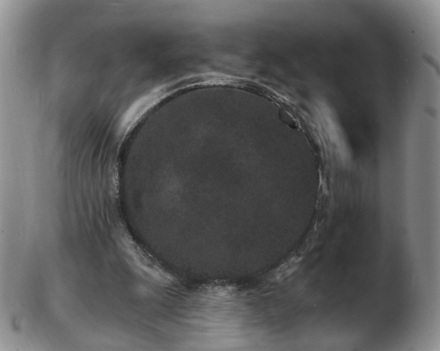 X0000102830247200808251140