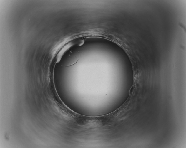 X0000102830248200808251140