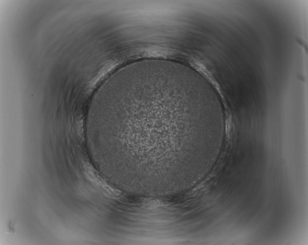 X0000102830249200808251140