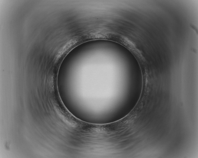 X0000102830250200808251140