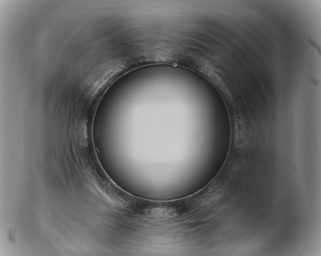 X0000102830251200808251140