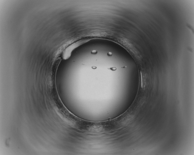 X0000102830252200808251140