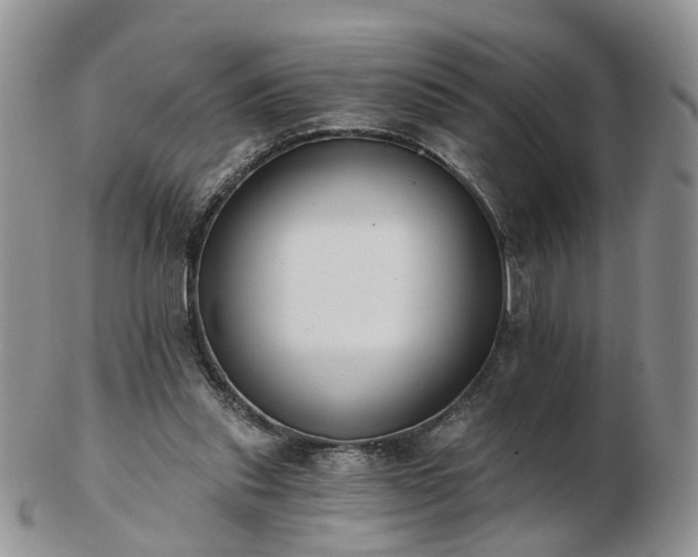 X0000102830253200808251140