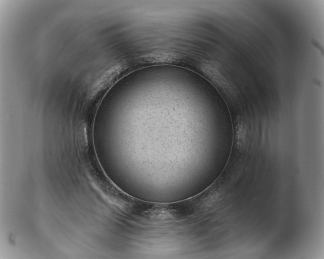 X0000102830254200808251140