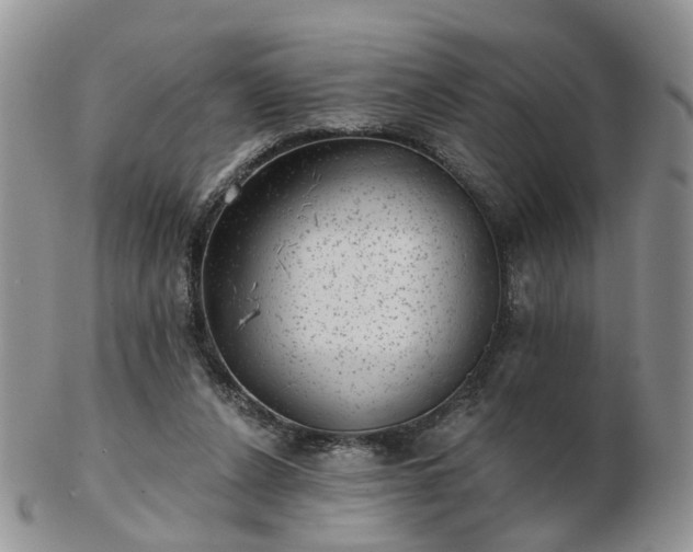 X0000102830256200808251140