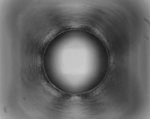 X0000102830257200808251140