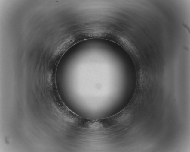 X0000102830258200808251140