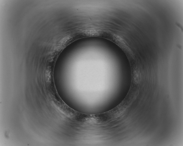 X0000102830259200808251140