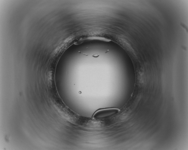 X0000102830260200808251140