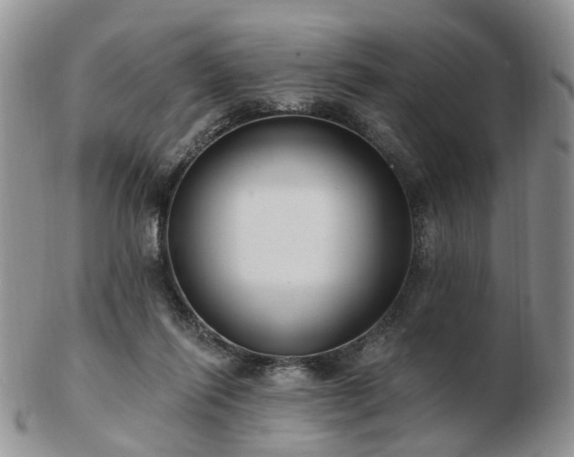 X0000102830262200808251140