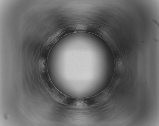 X0000102830264200808251140