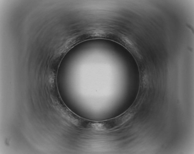 X0000102830265200808251140