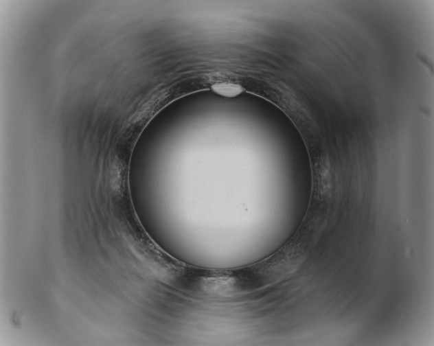 X0000102830266200808251140