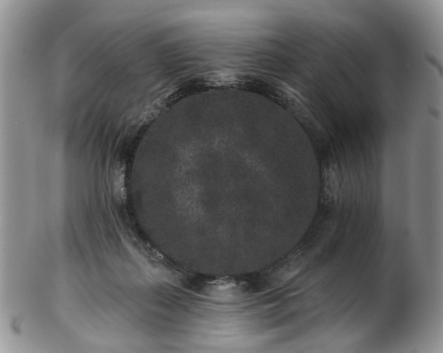 X0000102830267200808251140