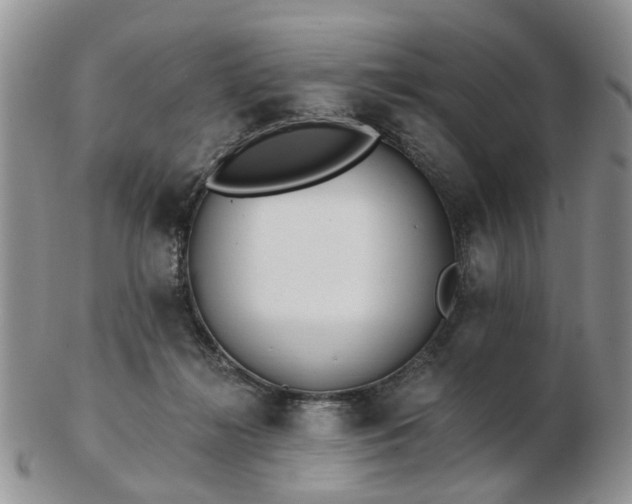 X0000102830268200808251140