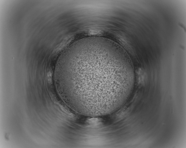 X0000102830269200808251140