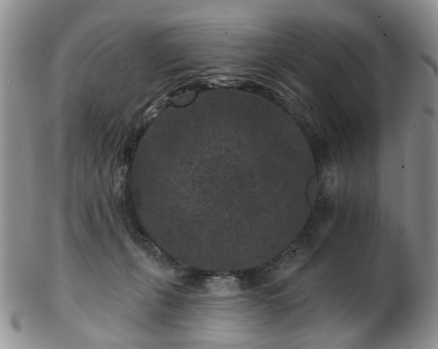 X0000102830271200808251140