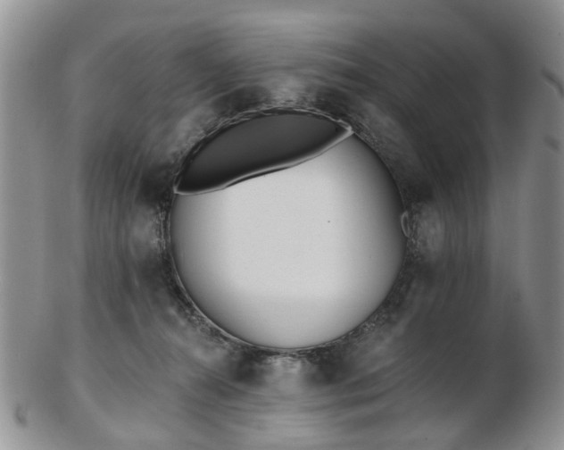 X0000102830272200808251140