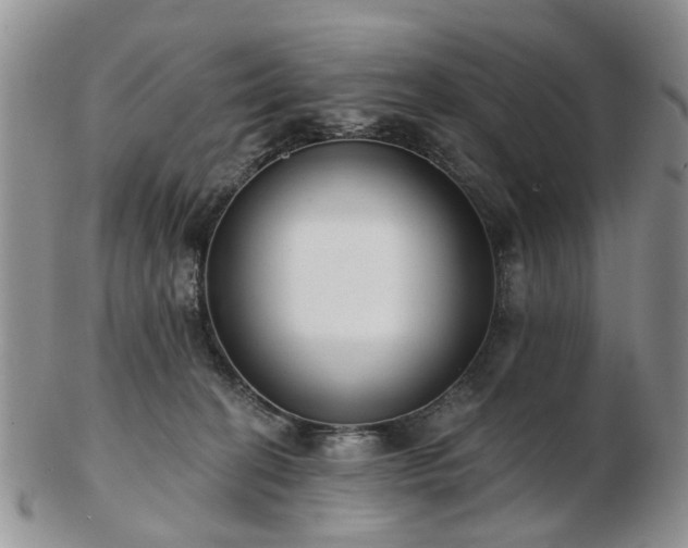 X0000102830274200808251140