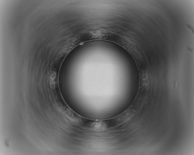 X0000102830275200808251140