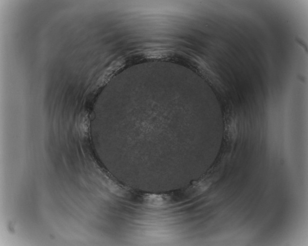 X0000102830277200808251140