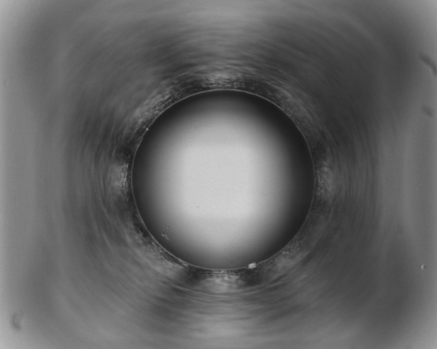 X0000102830278200808251140