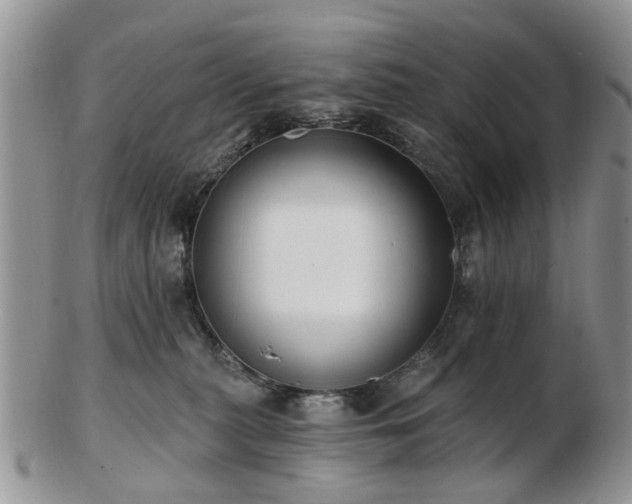 X0000102830279200808251140