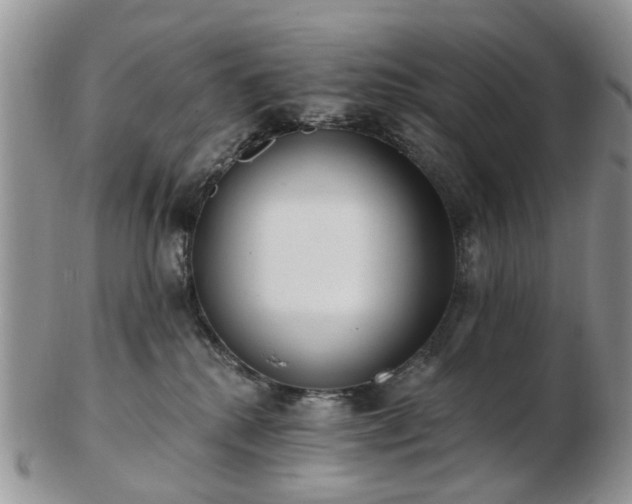 X0000102830280200808251140