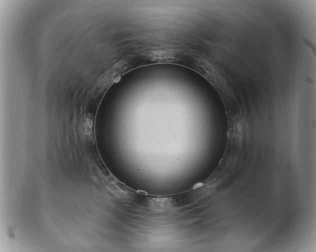 X0000102830281200808251140