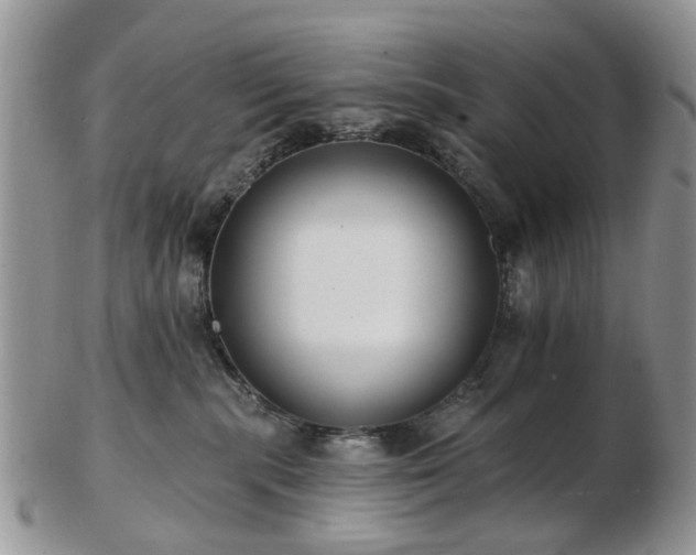 X0000102830283200808251140