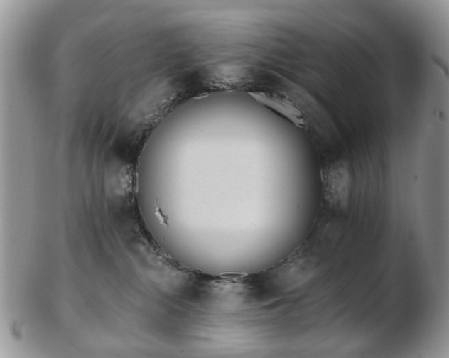 X0000102830284200808251140