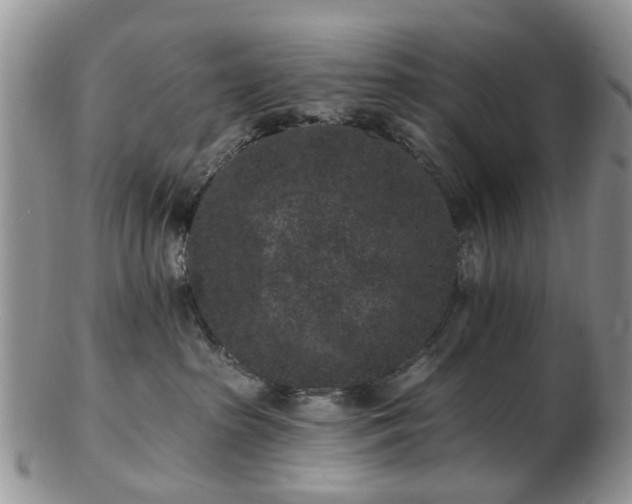 X0000102830285200808251140