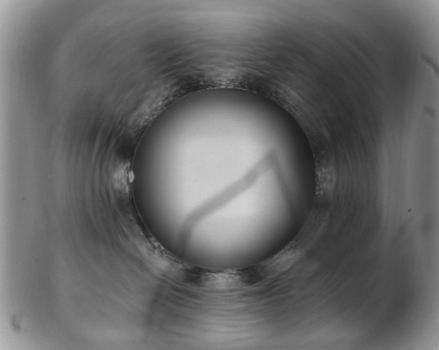 X0000102830286200808251140