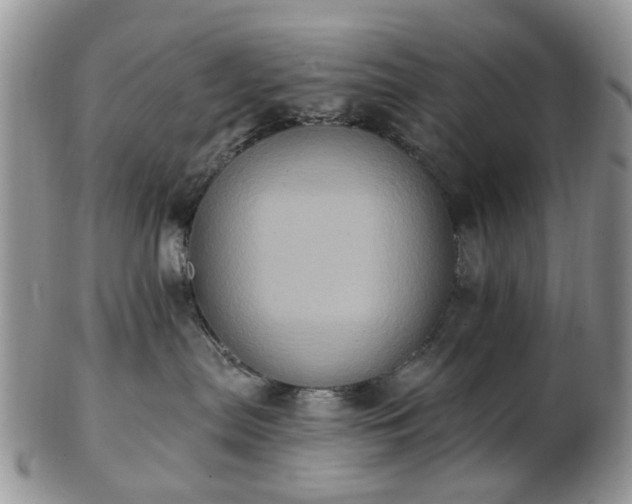 X0000102830287200808251140