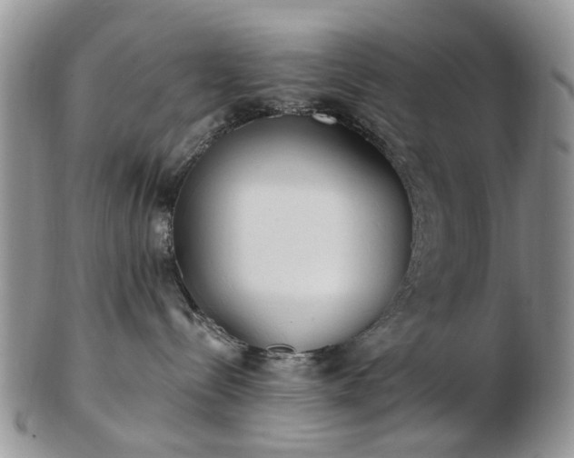 X0000102830288200808251140