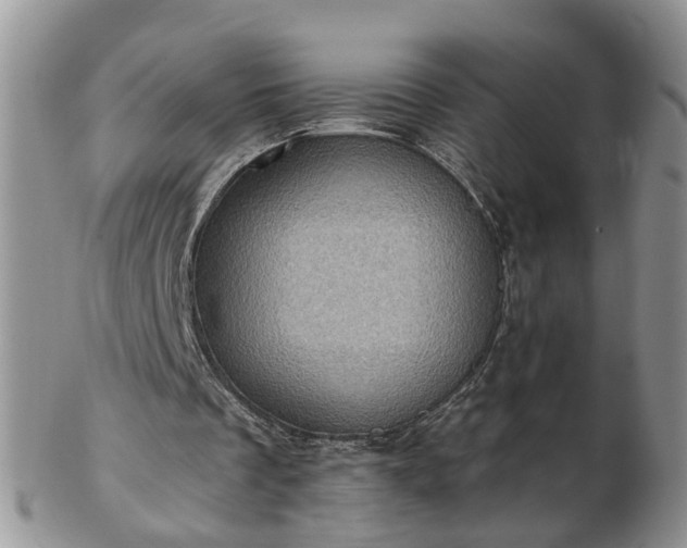 X0000102830289200808251140