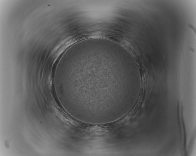 X0000102830290200808251140