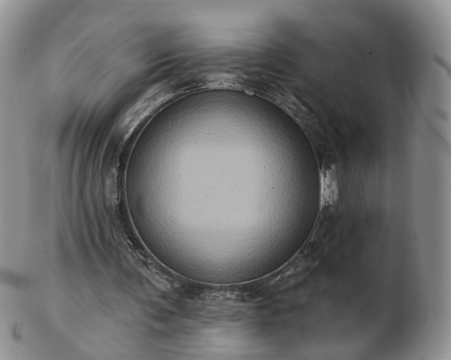 X0000102830291200808251140