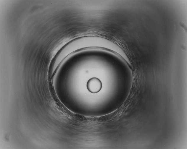 X0000102830292200808251140