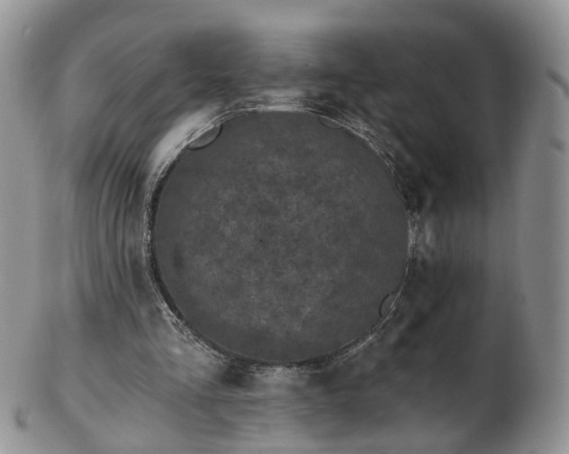 X0000102830293200808251140