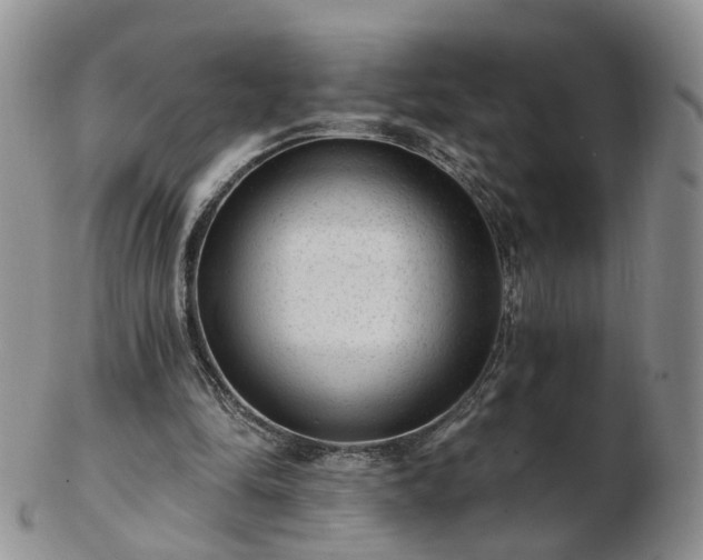 X0000102830294200808251140