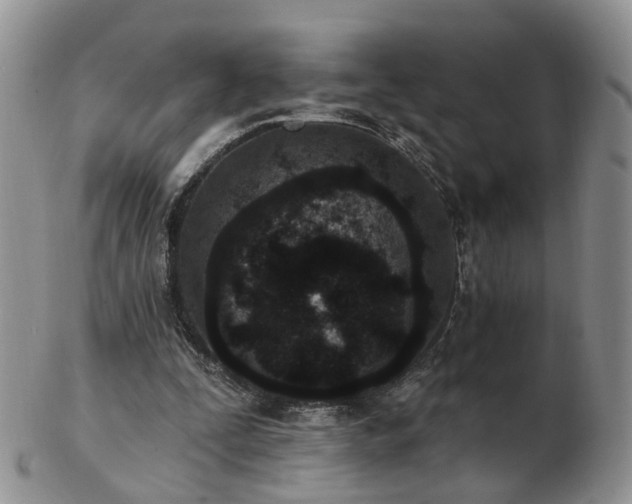 X0000102830295200808251140