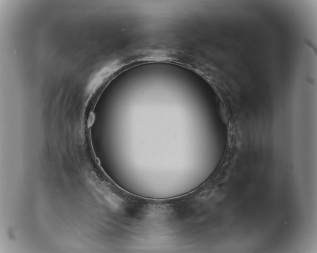 X0000102830296200808251140