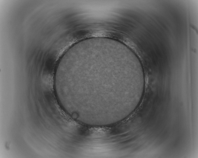 X0000102830297200808251140