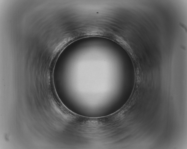 X0000102830298200808251140