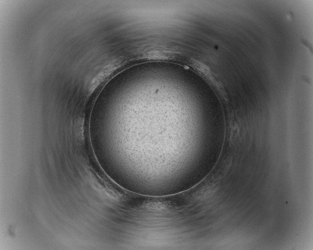 X0000102830299200808251140