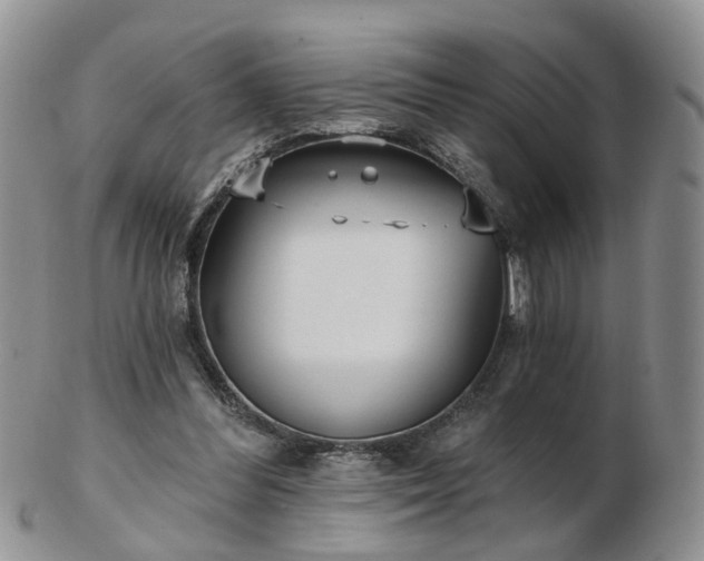 X0000102830300200808251140