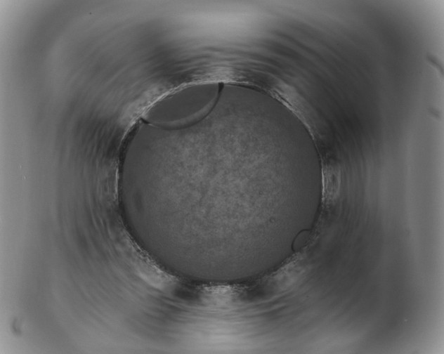 X0000102830301200808251140