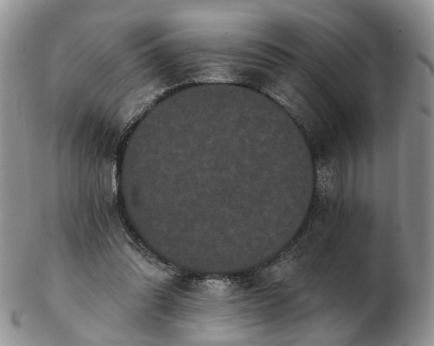 X0000102830302200808251140